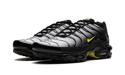 Air Max Plus "Wolf Grey Opti Yellow" DM0032 012