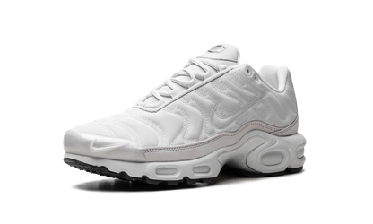 Air Max Plus WMNS "Platinum Tint" FZ4342 001