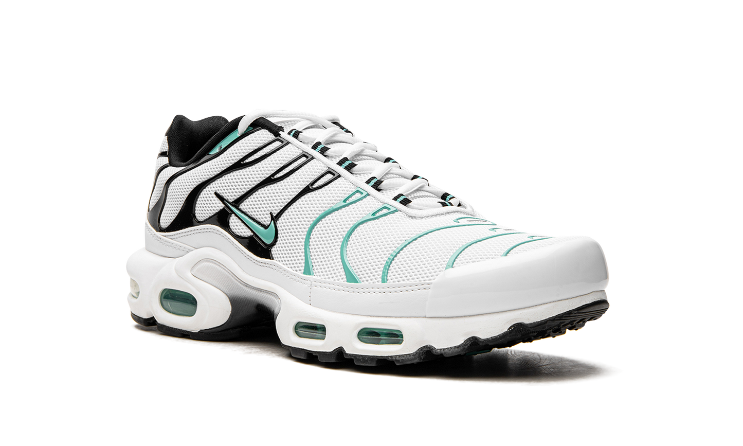 Air Max Plus "Atmos" 604133 148