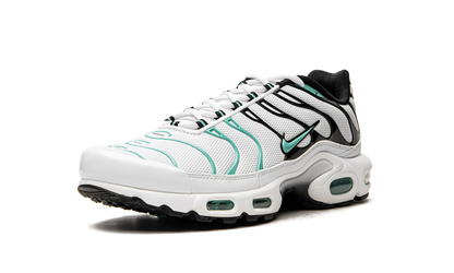 Air Max Plus "Atmos" 604133 148
