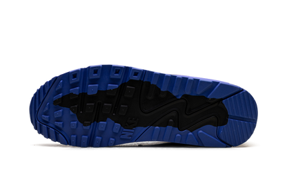 Air Max 90 Gore-Tex "Cool Grey Anthracite Obsidian Pure Platinum" FD5810 003