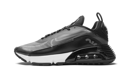 AIR MAX 2090 "Black / Wolf Grey" CW7306 001