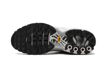 Air Max Plus WMNS "Platinum Tint" FZ4342 001