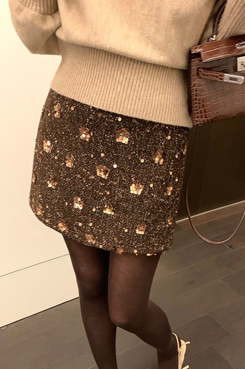 Embroidered Sequin High Waist A-Line Skirt