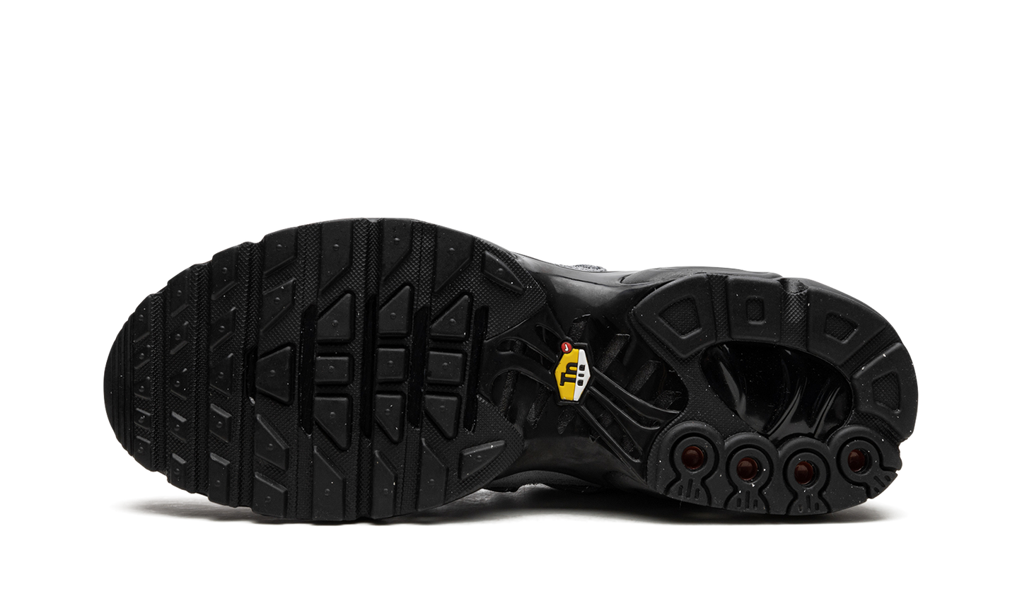 Air Max Plus "Bungee" FD0670 002