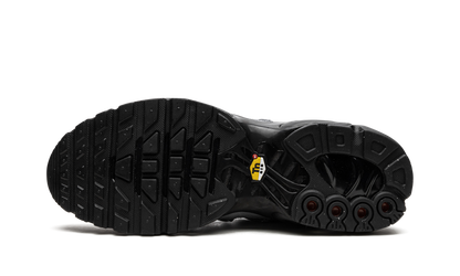 Air Max Plus "Bungee" FD0670 002