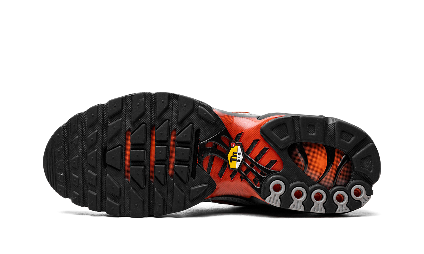 Air Max Plus "Wolf Grey Picante Red" DM0032 011