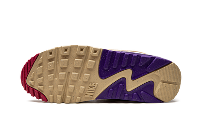 Air Max 90 SE "Air Sprung Sesame" DM8171 200