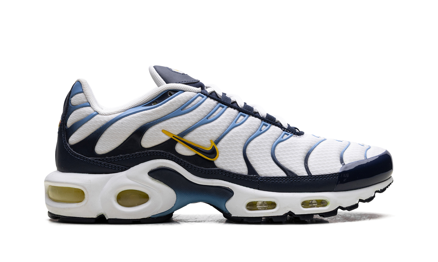 Air Max Plus CT1094 100