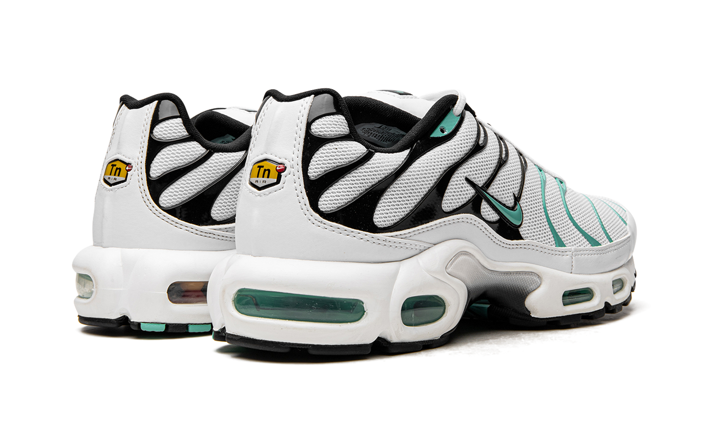 Air Max Plus "Atmos" 604133 148
