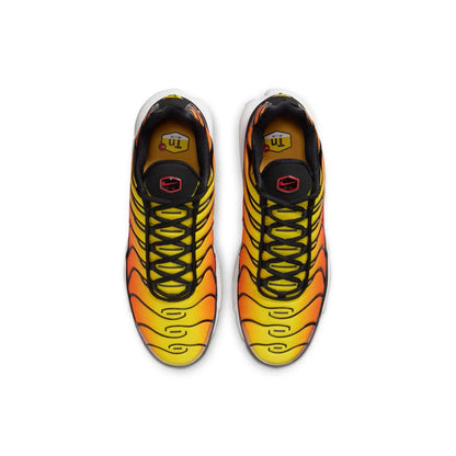 Air Max TN Plus 'Tiger
