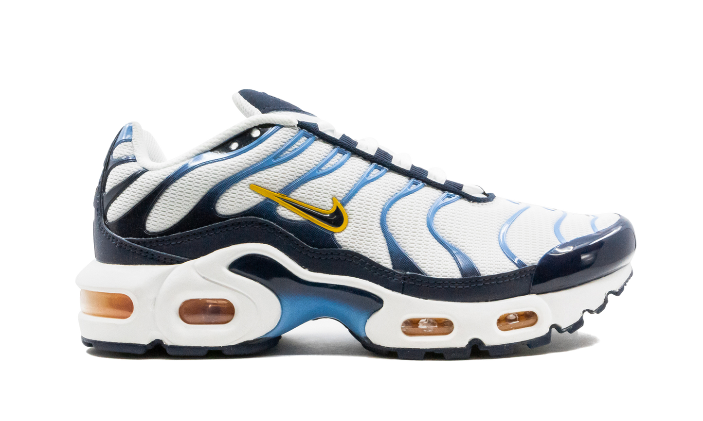 Air Max Plus CD0609 100