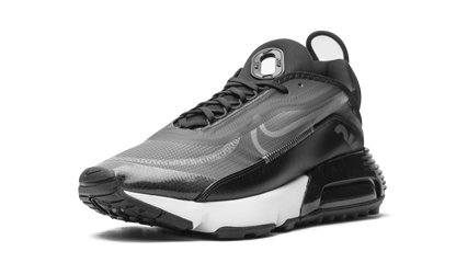 AIR MAX 2090 "Black / Wolf Grey" CW7306 001