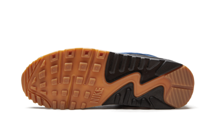 Air Max 90 "City Pack - Tokyo" CW1409 400