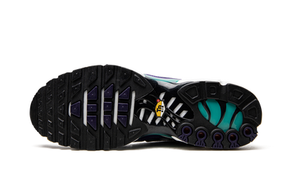 Air Max Plus "Grape" DM0032 100
