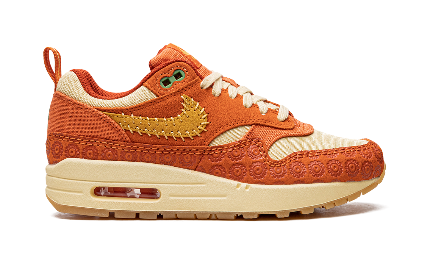 AIR MAX 1 PRM MNS WMNS "Somos Familia" DZ5352 847