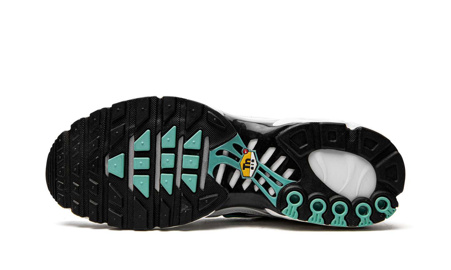Air Max Plus "Atmos" 604133 148