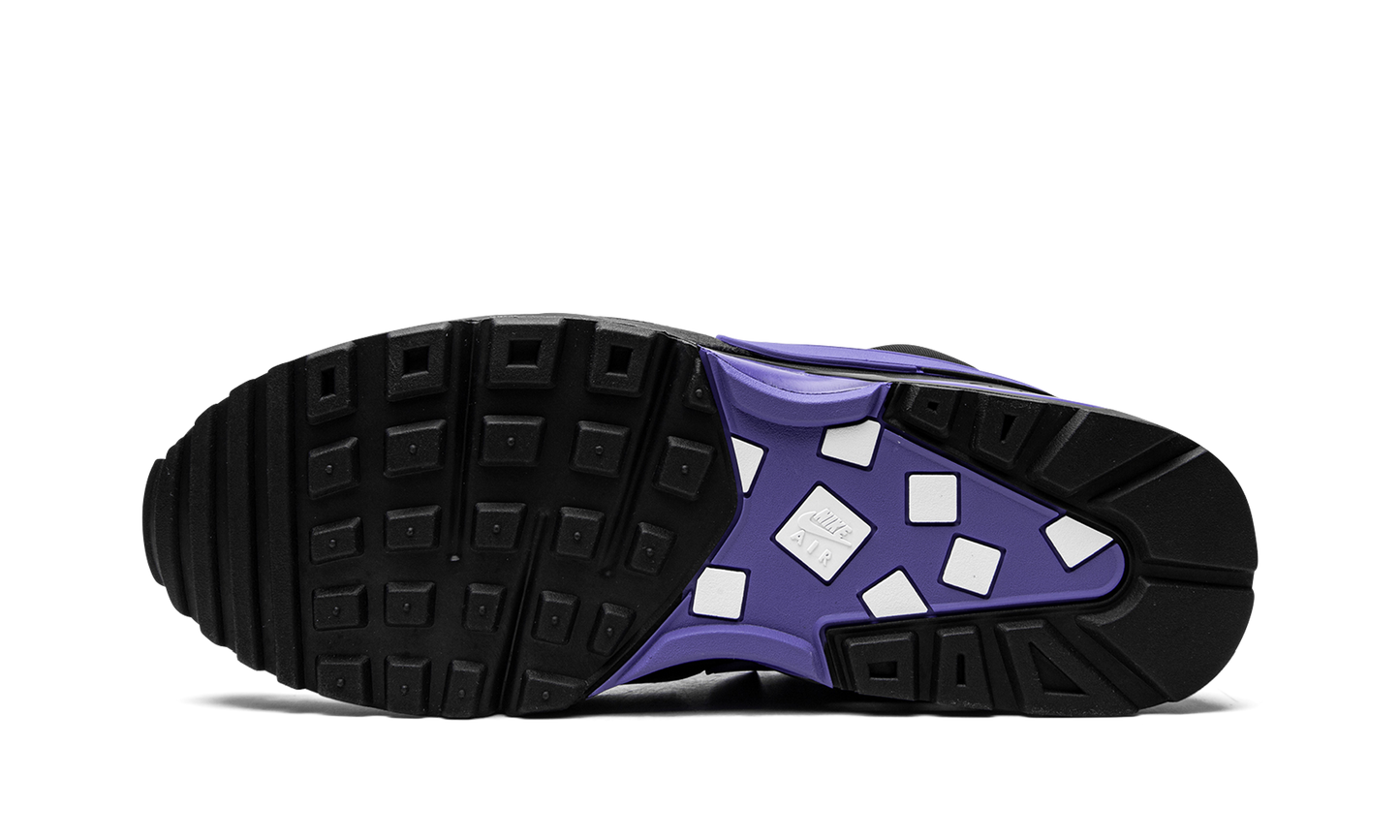 Air Max BW OG "Black Persian Violet" DM3047 001