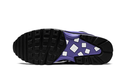 Air Max BW OG "Black Persian Violet" DM3047 001