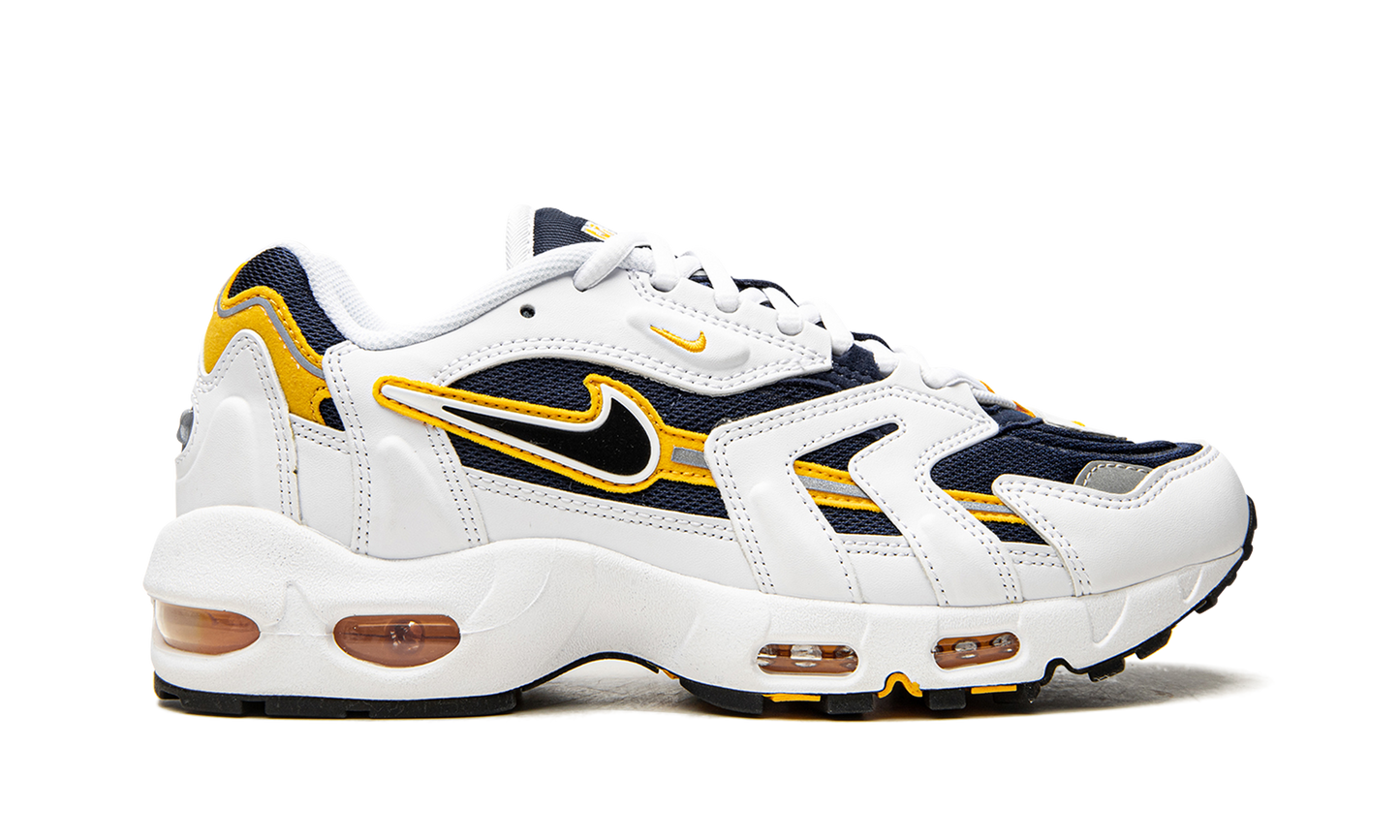 Air Max 96 2 "Goldenrod" CZ1921 100