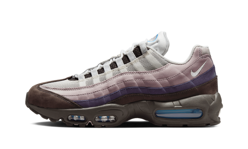 Air Max 95 "Erosion" HM0953 100