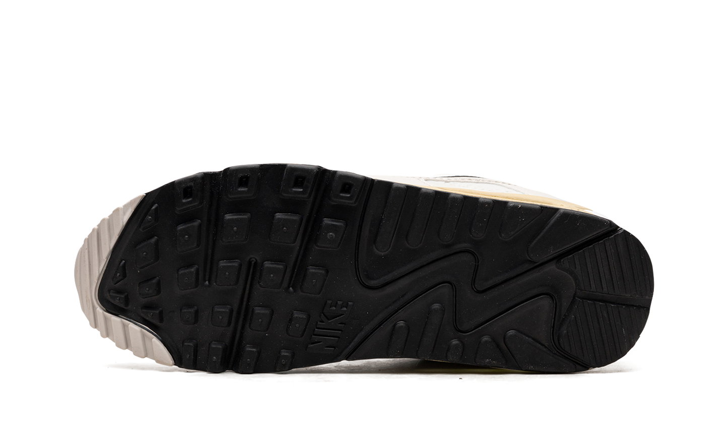 AIR MAX 90 MNS WMNS DQ0374 100