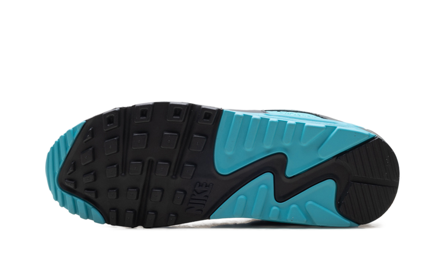 Air Max 90 "Dusty Cactus" DM0029 013