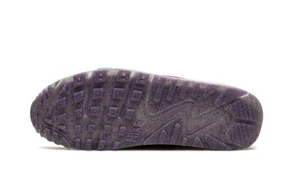 Air Max Terrascape 90 "Phanton Action Grape" DV7413 001