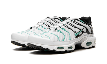 Air Max Plus "Atmos" 604133 148