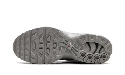 Air Max Plus HF GS "Light Iron" FZ0977 001