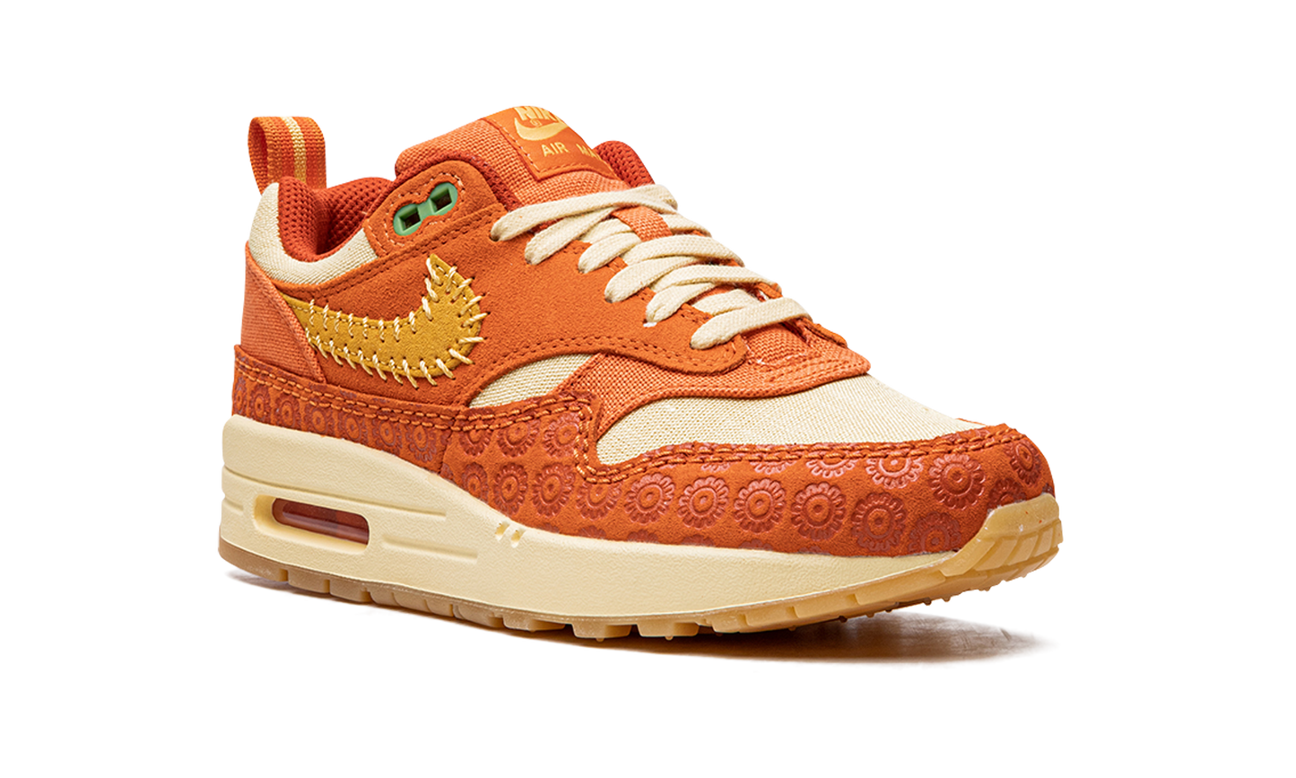 AIR MAX 1 PRM MNS WMNS "Somos Familia" DZ5352 847