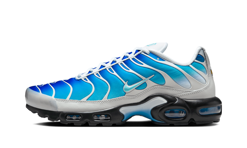 Air Max Plus "One Block Down - Light Photo Blue EU Exclusive" FZ3308 400