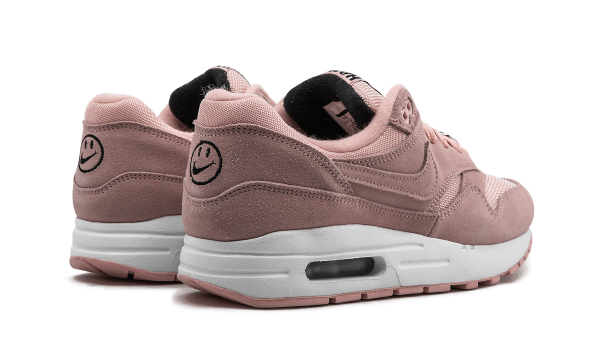 Air Max 1 NK Day (GS) "Have A Day" AT8131 600