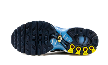 Air Max Plus CD0609 100