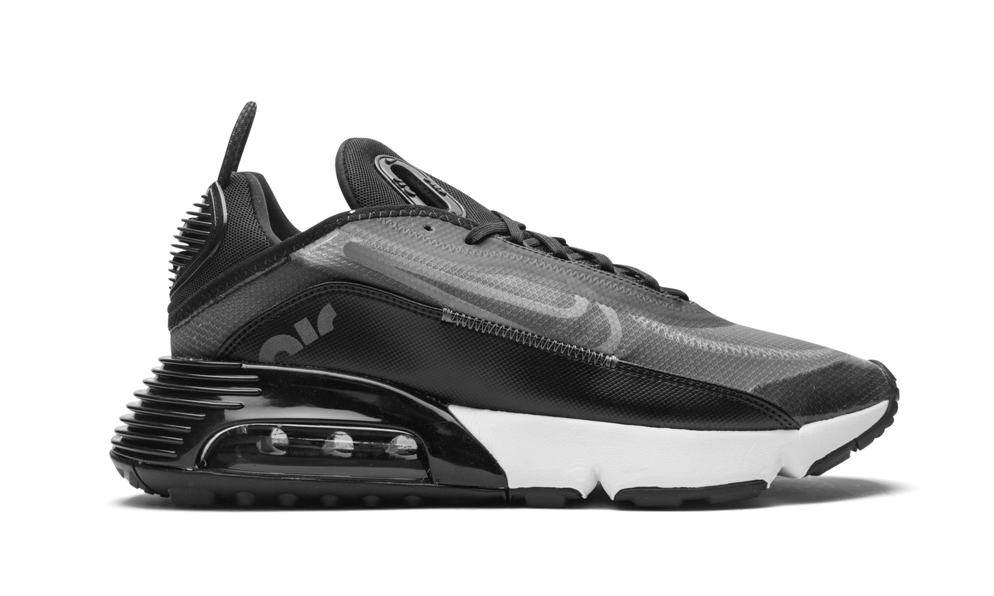 AIR MAX 2090 "Black / Wolf Grey" CW7306 001