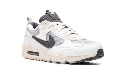 AIR MAX 90 FUTURA WMNS "Wolf Grey Summit White" DZ4708 001