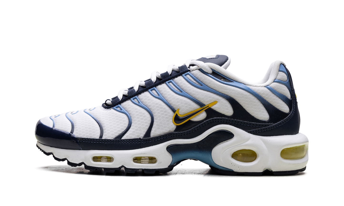 Air Max Plus CT1094 100