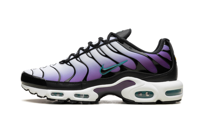 Air Max Plus "Reverse Grape" FQ2415 500