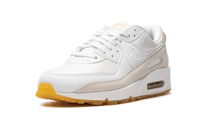 Air Max 90 "Frank Rudy" DV1734 100