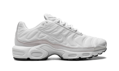 Air Max Plus WMNS "Platinum Tint" FZ4342 001