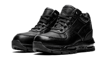Air Max Goadome PS 311568 001