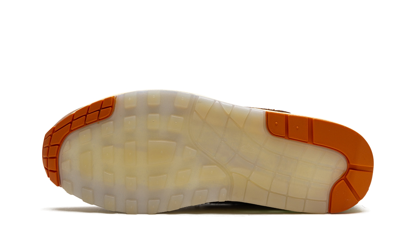 Air Max 1 '87 Luxe "University of Oregon PE 2024" HQ2639 100