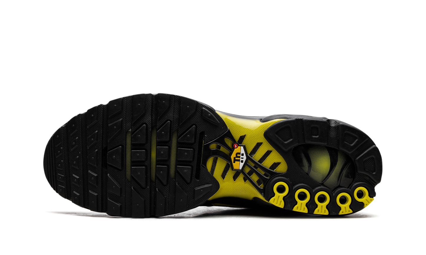 Air Max Plus "Wolf Grey Opti Yellow" DM0032 012