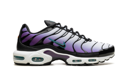 Air Max Plus "Reverse Grape" FQ2415 500