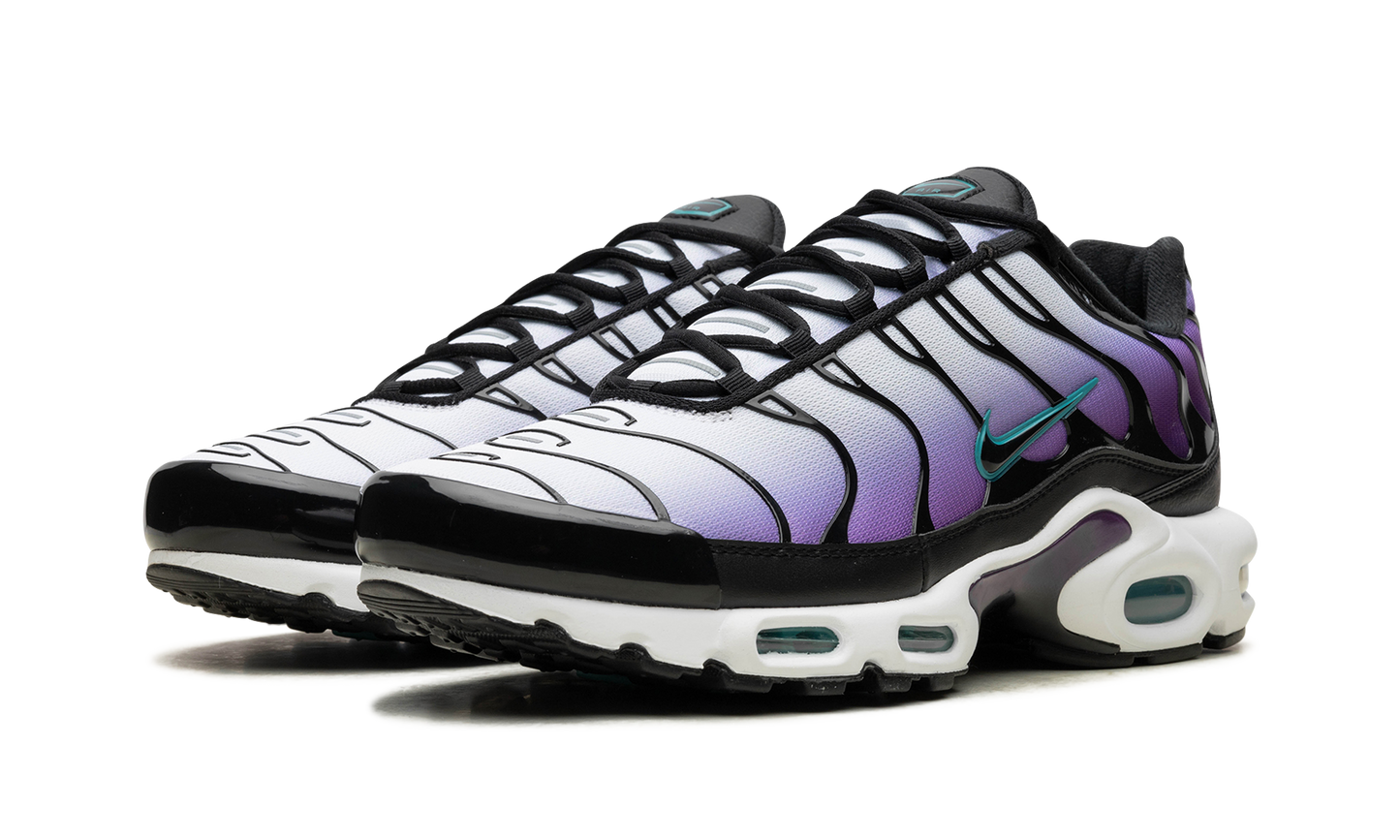 Air Max Plus "Reverse Grape" FQ2415 500