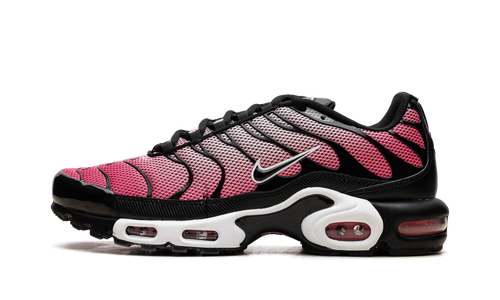 Air Max Plus "All Day" HF3837 600