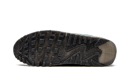 Air Max Terrascape 90 DQ3987 001