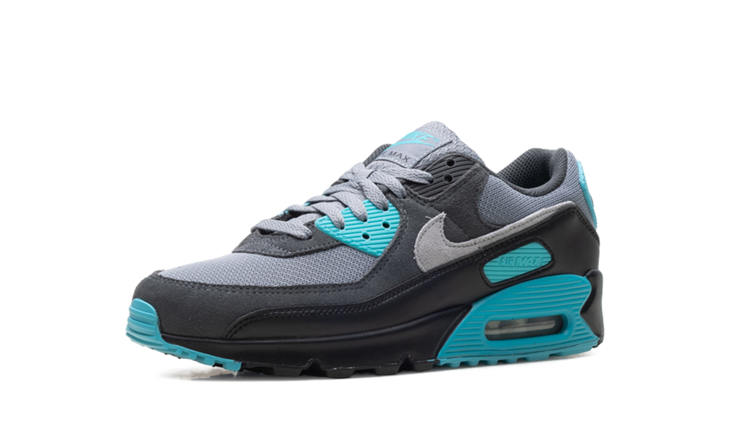 Air Max 90 "Dusty Cactus" DM0029 013