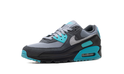 Air Max 90 "Dusty Cactus" DM0029 013