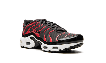 Air Max Plus GS CD0609 200